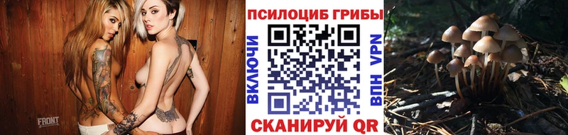 как найти   Вольск  Псилоцибиновые грибы MAGIC MUSHROOMS 