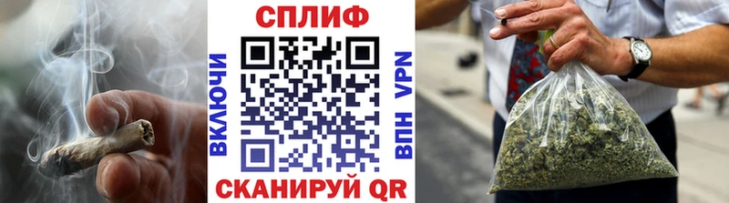 Каннабис гибрид  Вольск 